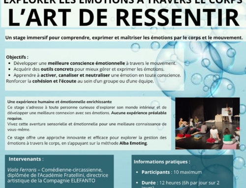 Stage Adultes, L’Art de Ressentir